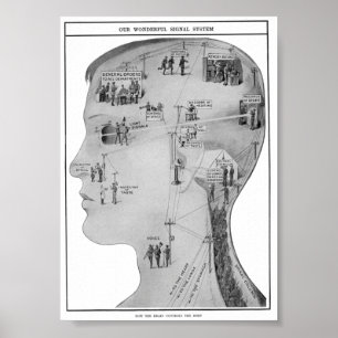 Poster Rétro éducatif