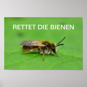 Poster Rettet die Bienen