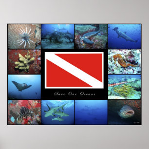 Poster Rettete unsere Ozeane