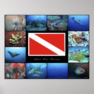 Poster Rettete unsere Ozeane