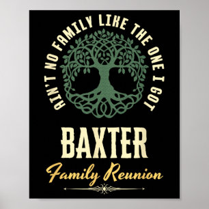 Poster Reunion familiale 2025 Conception de jumelage - Ba