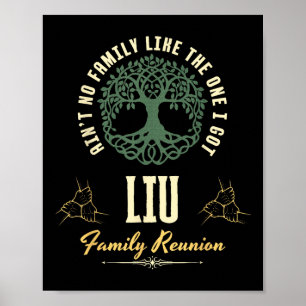 Poster Reunion familiale 2025 Conception de jumelage - Li