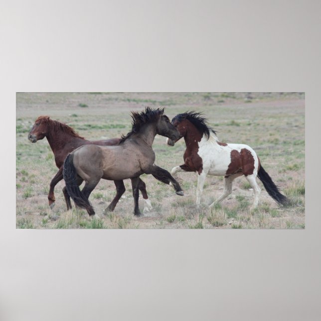 Poster Réunir (Devant)