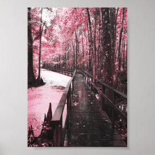 Poster rêve de marécage sain