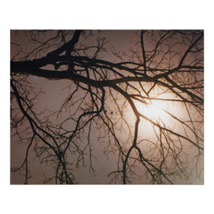Poster Rêve lunaire