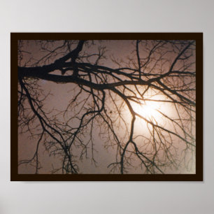 Poster Rêve lunaire