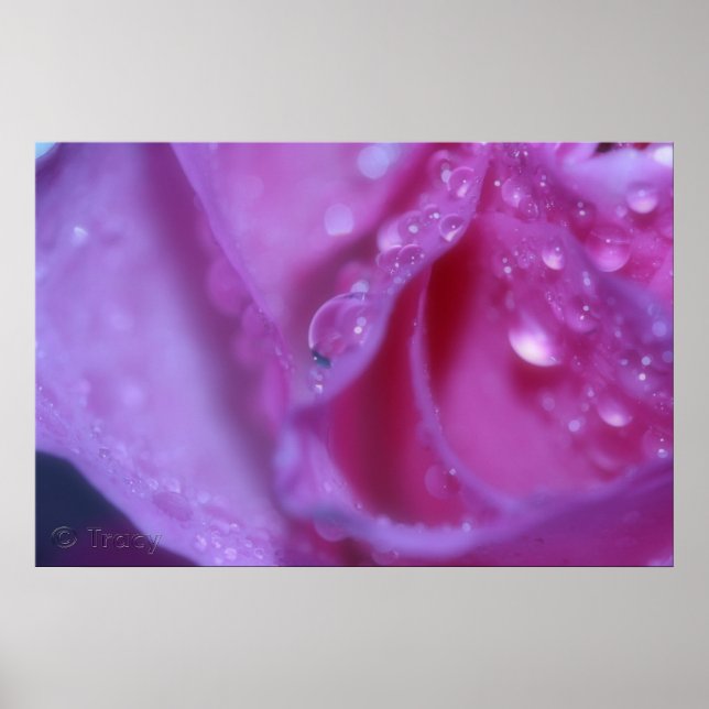 Poster Rêve rose (Devant)