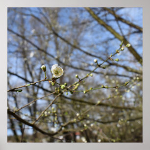 Poster Réveil du printemps