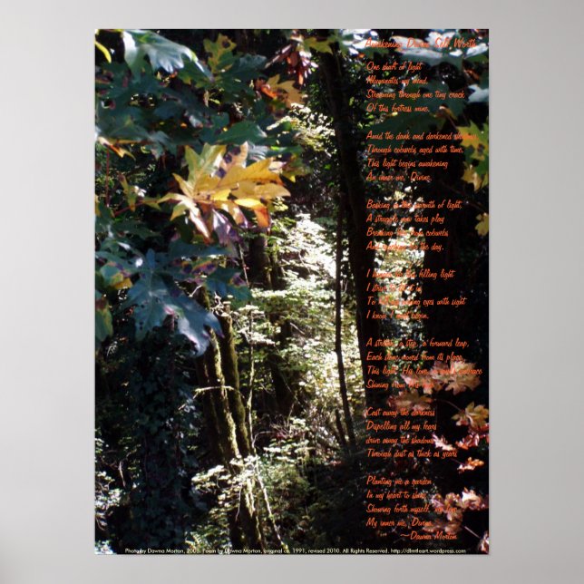 Poster Réveiller la valeur divine (Devant)