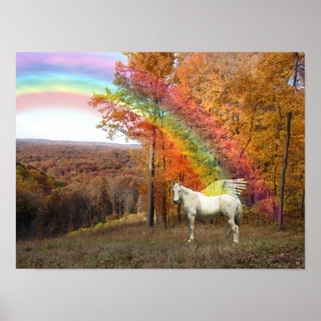 POSTER RÉVÉLATION RAINBOW PEGASUS (Devant)