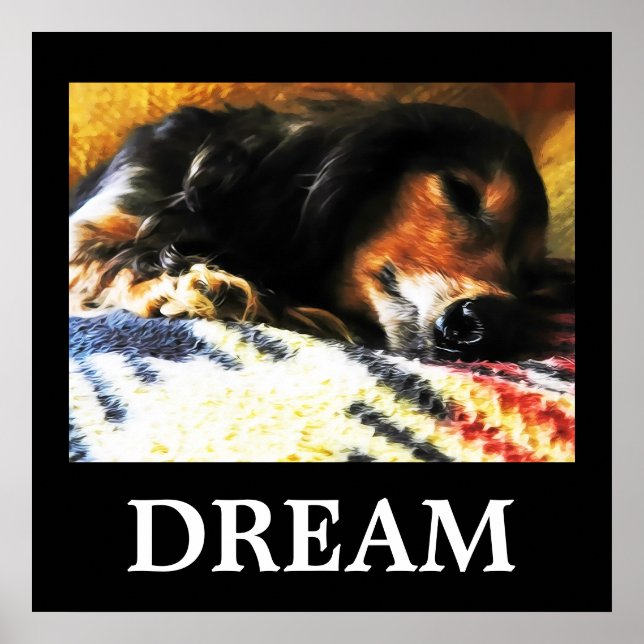 Poster Rêver (Devant)