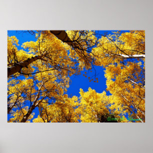 Poster Rêver en couleurs