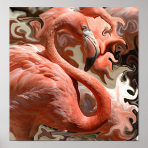 Poster Rêves de Flamant rose