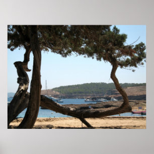 Poster Rêves d'Ibiza