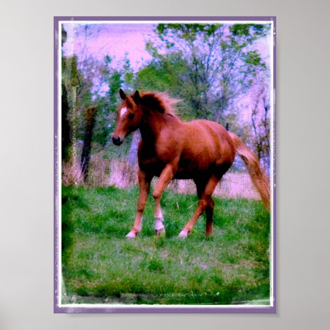 Poster Rêves du printemps, Sorrel Trotting (Devant)