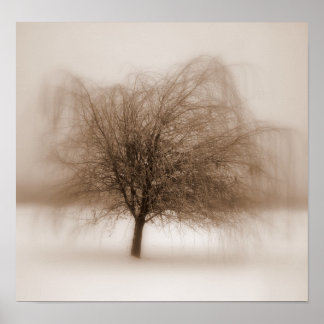 Poster Rêves mystiques