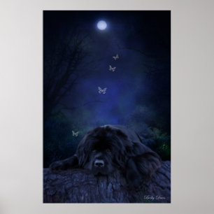 Poster Rêveur de la forêt