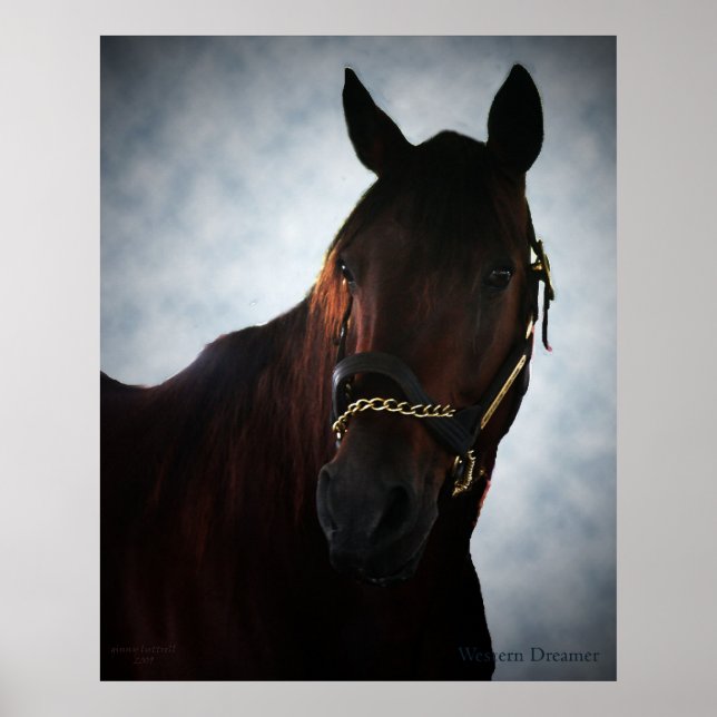 Poster Rêveur occidental (Devant)