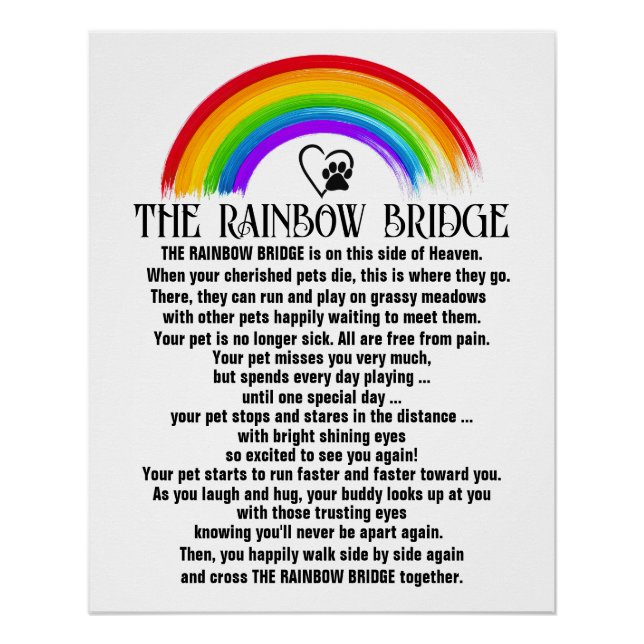 Poster Révisé LE PONT DE L'ARC-EN-CIEL (Devant)