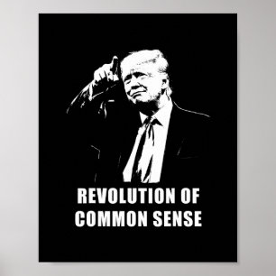 Poster Révolution du bon sens – Investiture de Trump 20