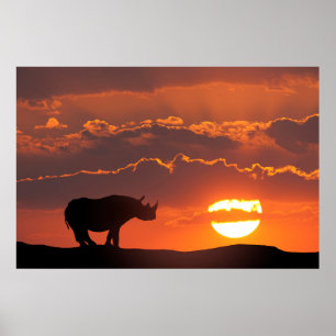 Poster Rhino au coucher du soleil, Masai Mara, Kenya
