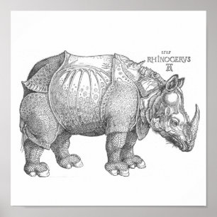 Poster Rhinoceros