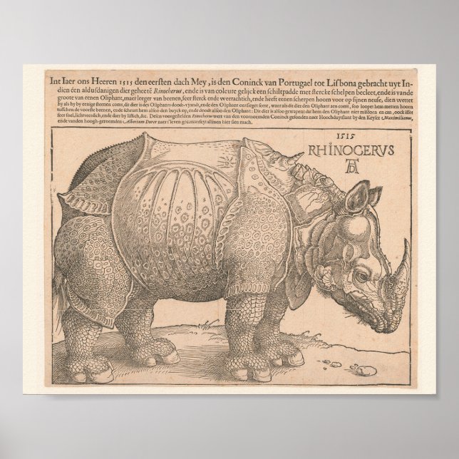 Poster Rhinoceros - Albrecht Dürer 1515 Gravure de coupe  (Devant)