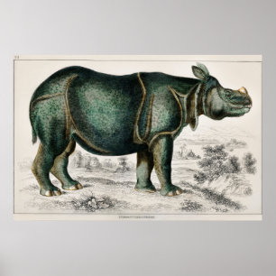 Poster Rhinoceros par Oliver Goldsmith