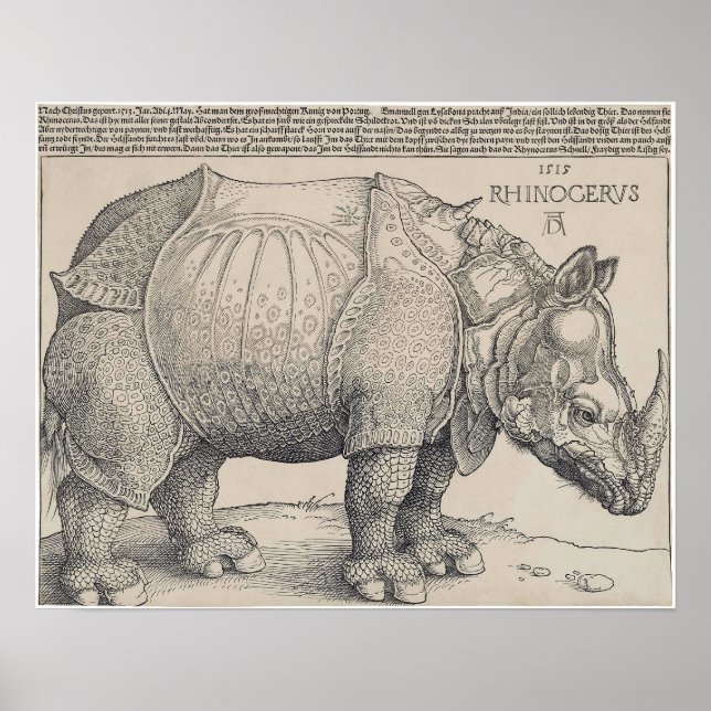 POSTER RHINOCERUS DE DURER 1515 (Devant)