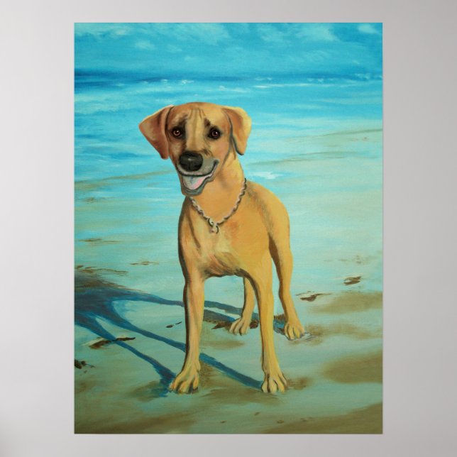Poster Rhodesian Ridgeback "Tony" sourit (Devant)