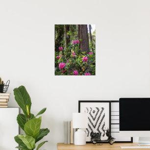 Poster Rhododendron rose dans une forêt florale photograp