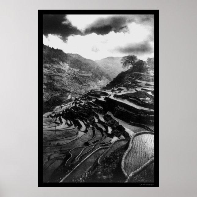 Poster Rice Terrace Philippines 1898 (Devant)
