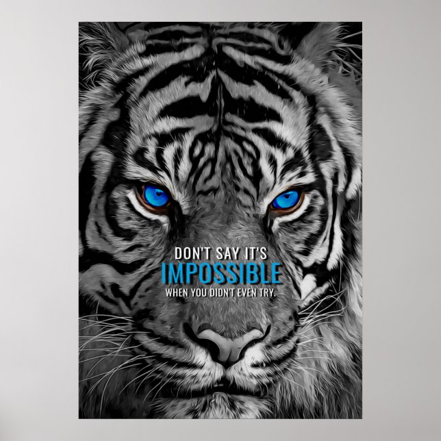 Poster Rien n'est impossible Citation Motivationnelle Tig (Devant)