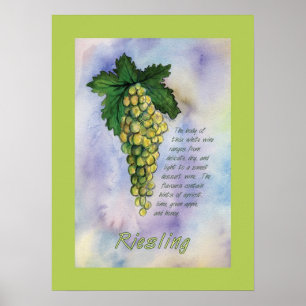 Poster Riesling Vin