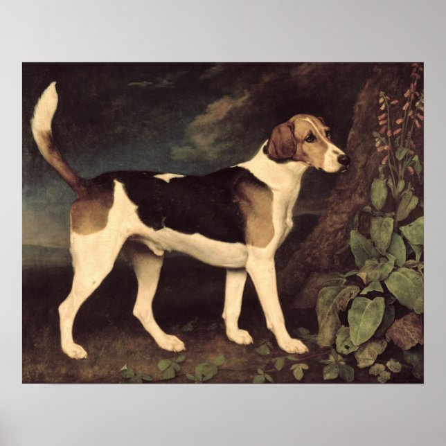 Poster Ringwood, un Brocklesby Foxhound, 1792 (Devant)