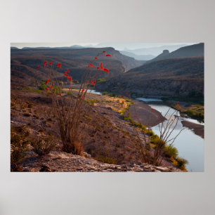 Poster Rio Grande Traversant Le Désert Du Chihuahuan