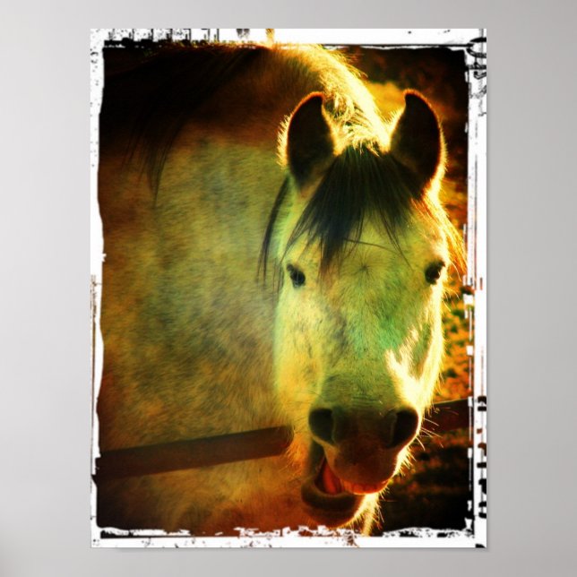 Poster Rire (Devant)