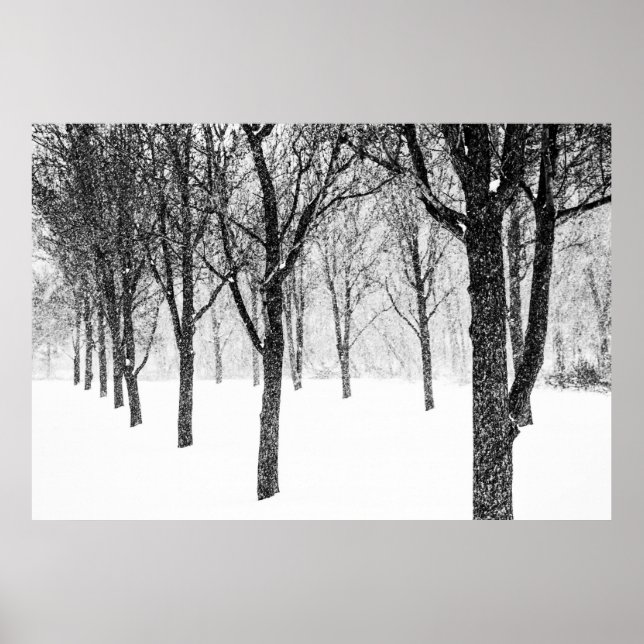 Poster ris I side with trees (Devant)