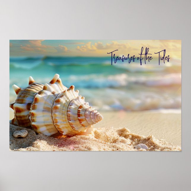 Poster Rive tranquille : Coquillage au bord de l'océan (Devant)