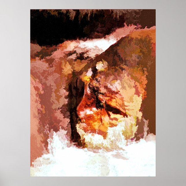 POSTER RIVER SPIRIT (Devant)