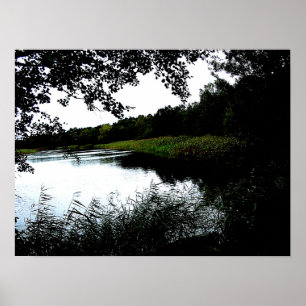 Poster Rivière avec arbres et roseaux photo