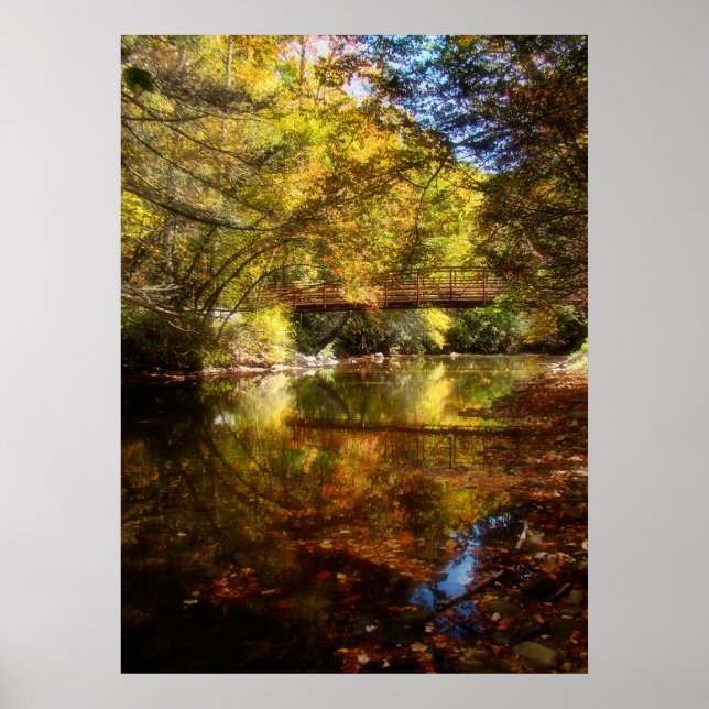 Poster Rivière de Lumière (Devant)