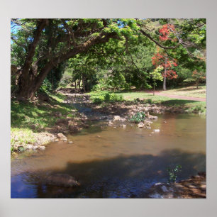 Poster Rivière de sérénité