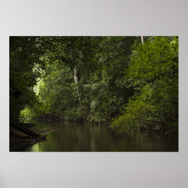 Poster Rivière Mapari, Mapari Rupununi, Guyana. (Devant)