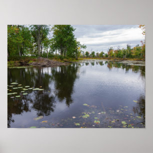 Poster rivière missisquoi à travers un refuge pour la fau