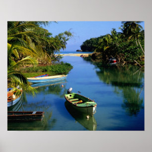 Poster Rivière pittoresque près d'Ocho Rios en Jamaïque
