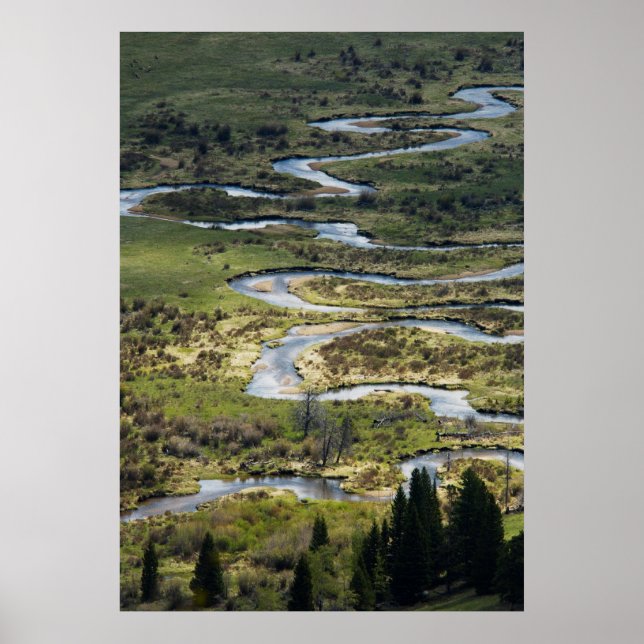 Poster rivière sinueuse à rmnp (Devant)