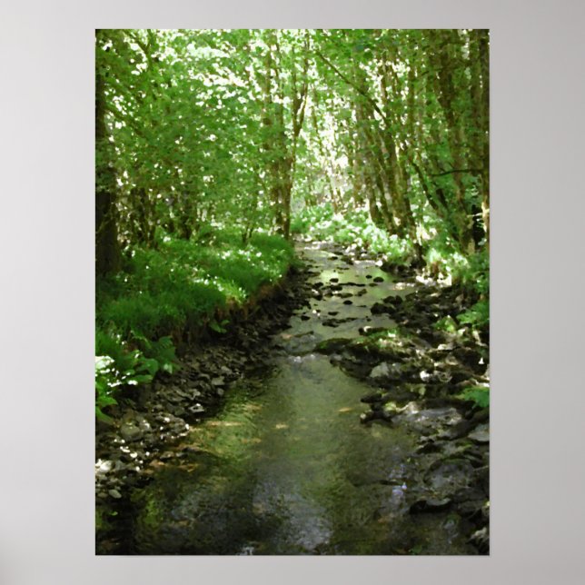 Poster Rivière traversant les bois. (Devant)
