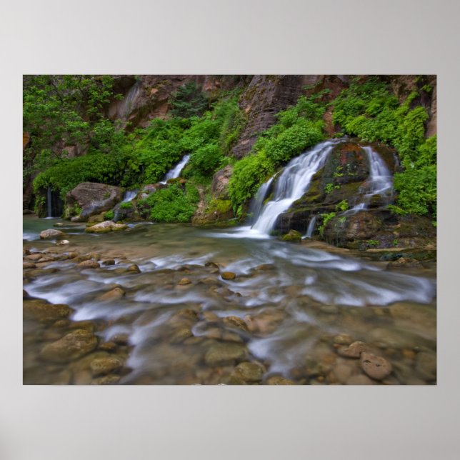 Poster Rivière Vierge Big Springs | Parc national de Zion (Devant)