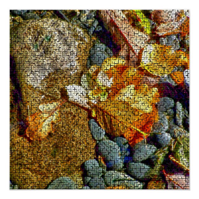 POSTER RIVIÈRES (Devant)